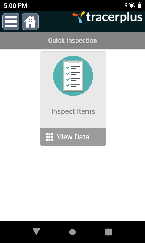 Quick Inspection Icon