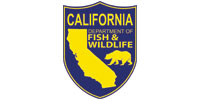 ca-dfw-logo.jpg